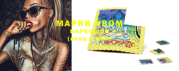 шишки Пестово
