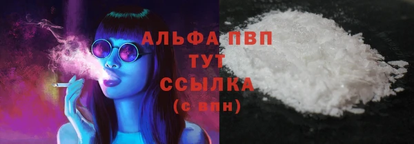 шишки Пестово