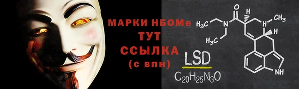 шишки Пестово