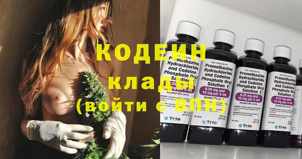 твердый Пересвет