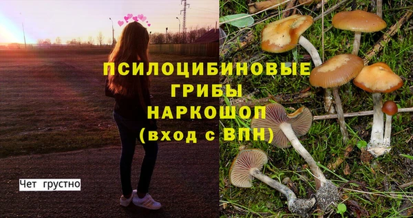 кокс Переславль-Залесский