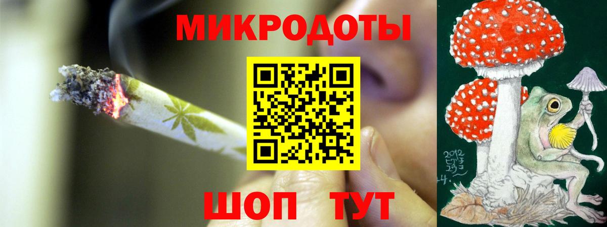 Псилоцибиновые грибы Psilocybe Снежинск